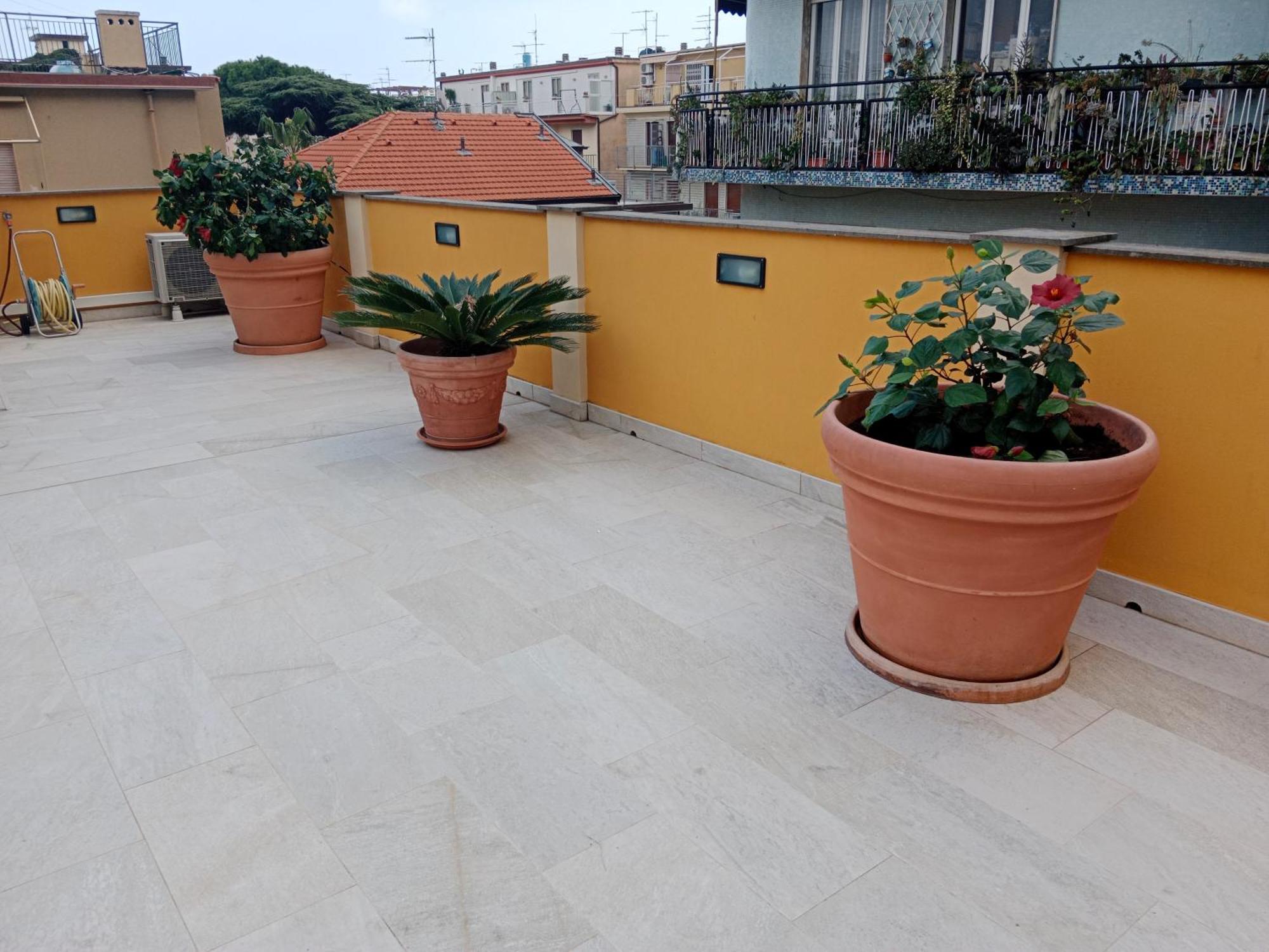 La Casa Gialla *